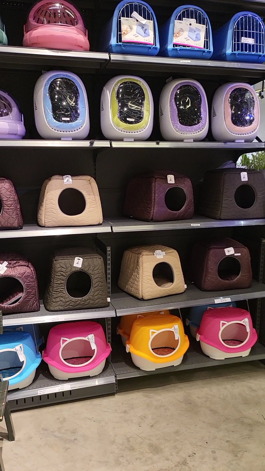Pet store accessories and supplies at Happy Pet Vet Clinic
