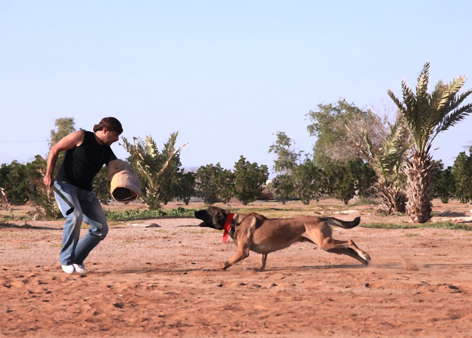 Full speed sprint attack