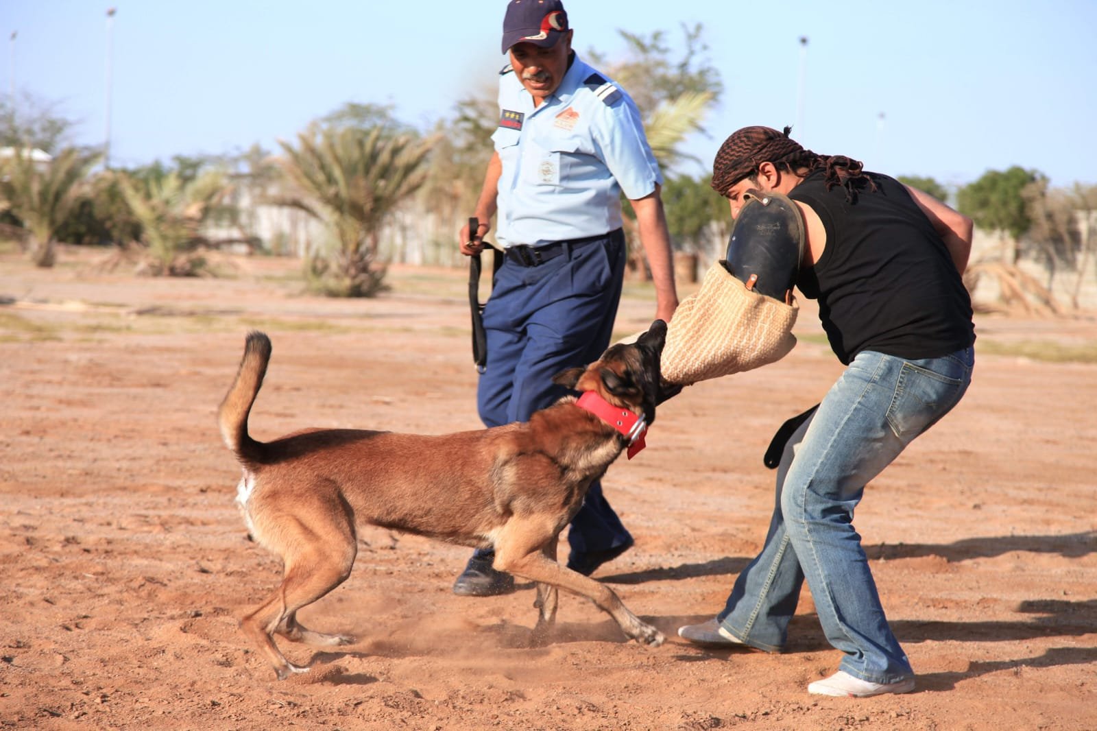 Supervised tactical bite drill
