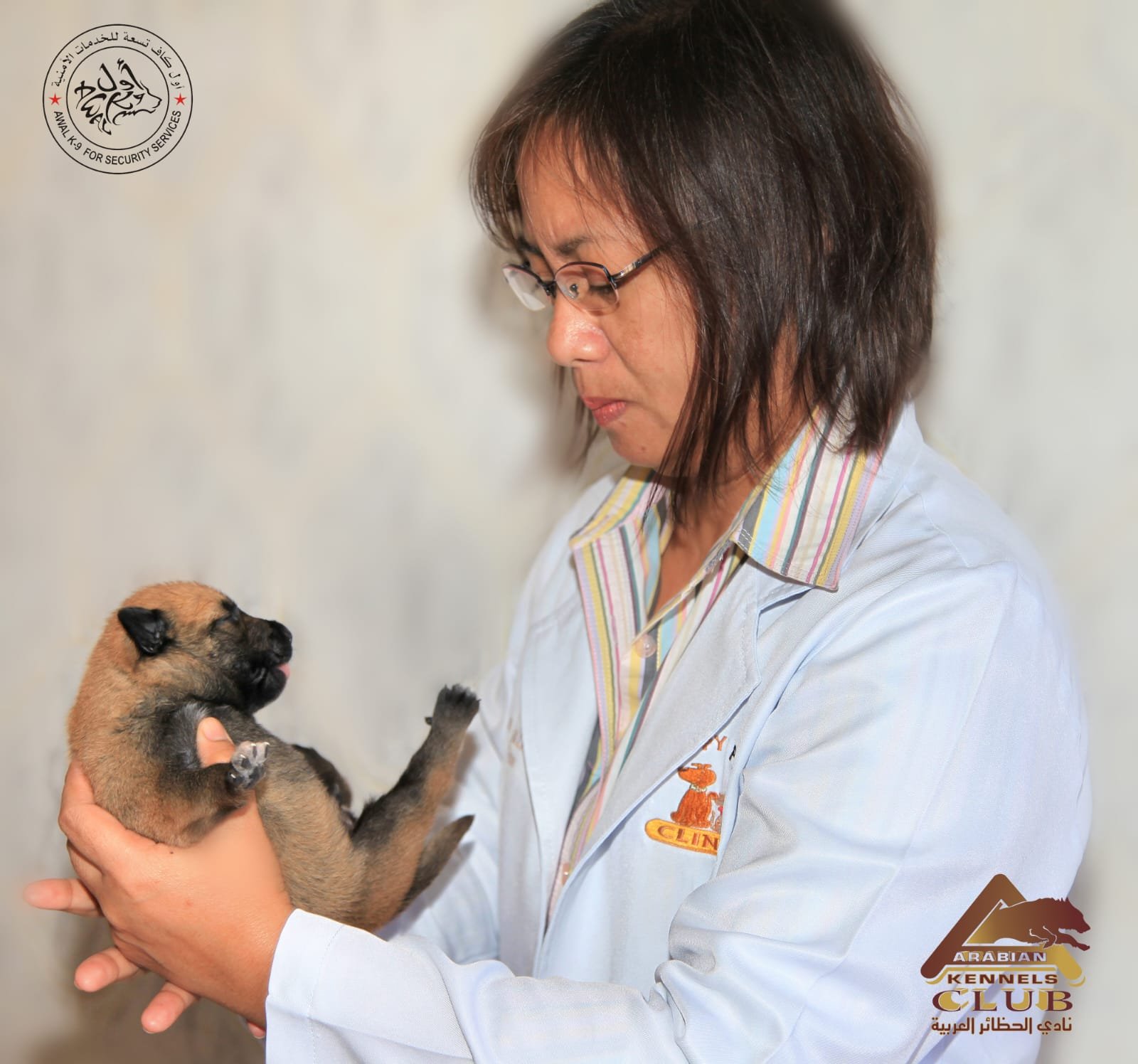 Veterinarian examining puppy with official clinic coat at Happy Pet Vet Clinic