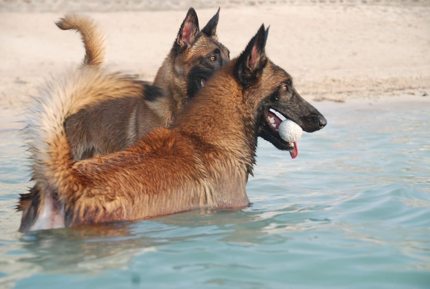 Water swimming conditioning