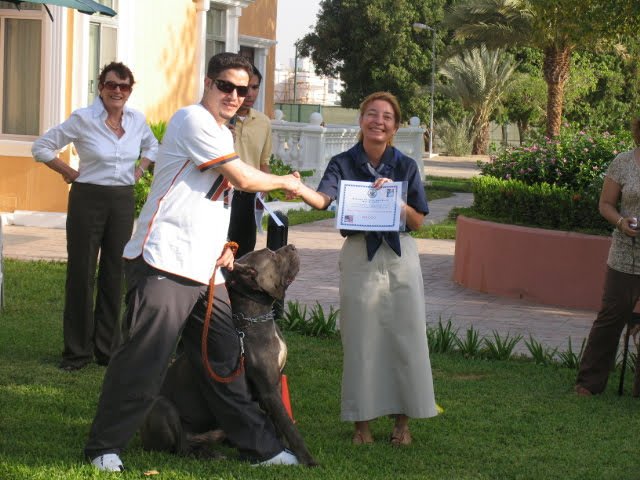 Official documentation and certification handover