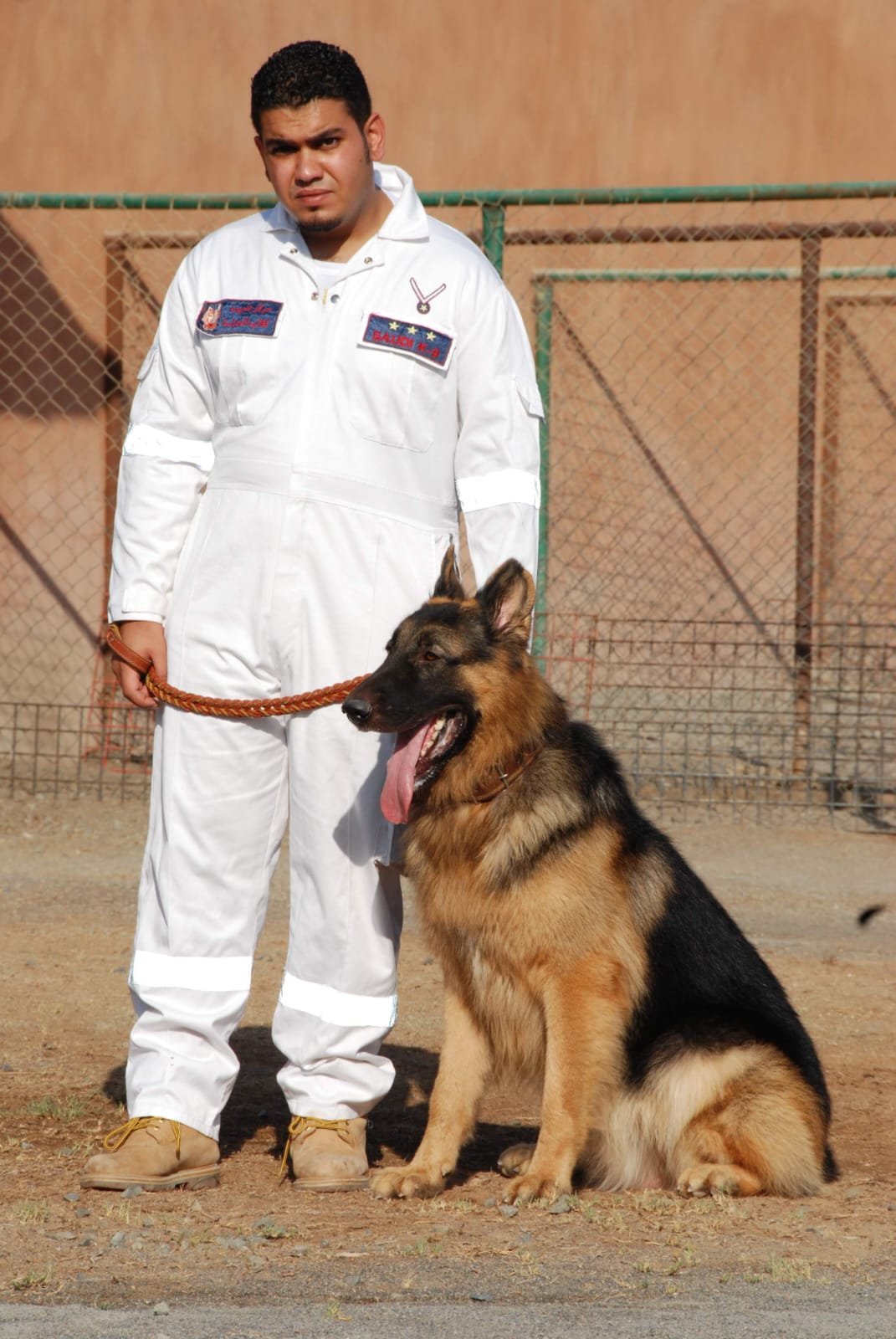 German Shepherd with handler